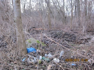 Arbeitseinsatz am 24.03.2012