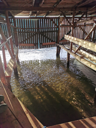 Freie Außenliegerplätze für Boote in Waren (Müritz)
