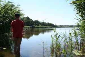 Luftaufnahme von der Müritz Ringfoto Steindorf Waren (Müritz)